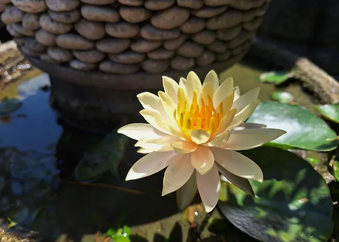 Villa Mandox Bali Nusa Dua (Bali)